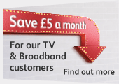 Promotional Banner